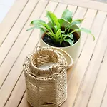 Urban Forest شقة بودابست