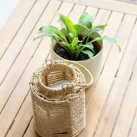 Urban Forest 公寓 布达佩斯